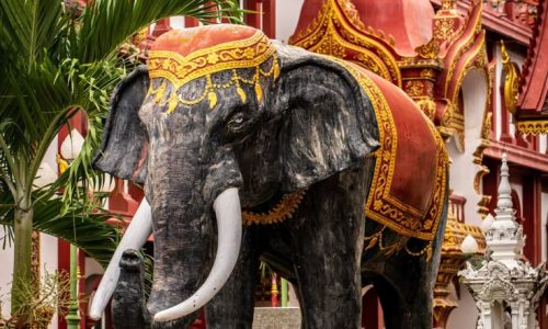 13 Best Photo Spots in Chiang Mai You Don't Want to Miss