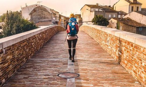 The Great Spiritual Journey of El Camino de…